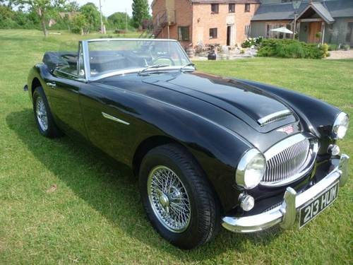 Austin Healey Sebring