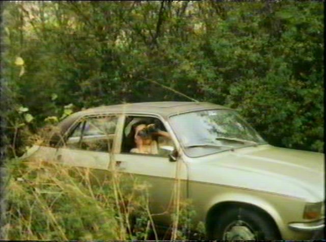 Austin Allegro 3