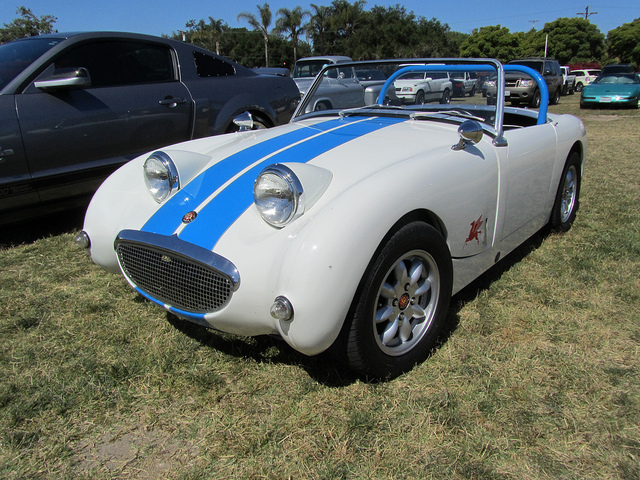 Austin Sprite