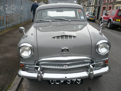 Austin Westminster