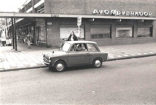 Autobianchi Bianchina panoramica