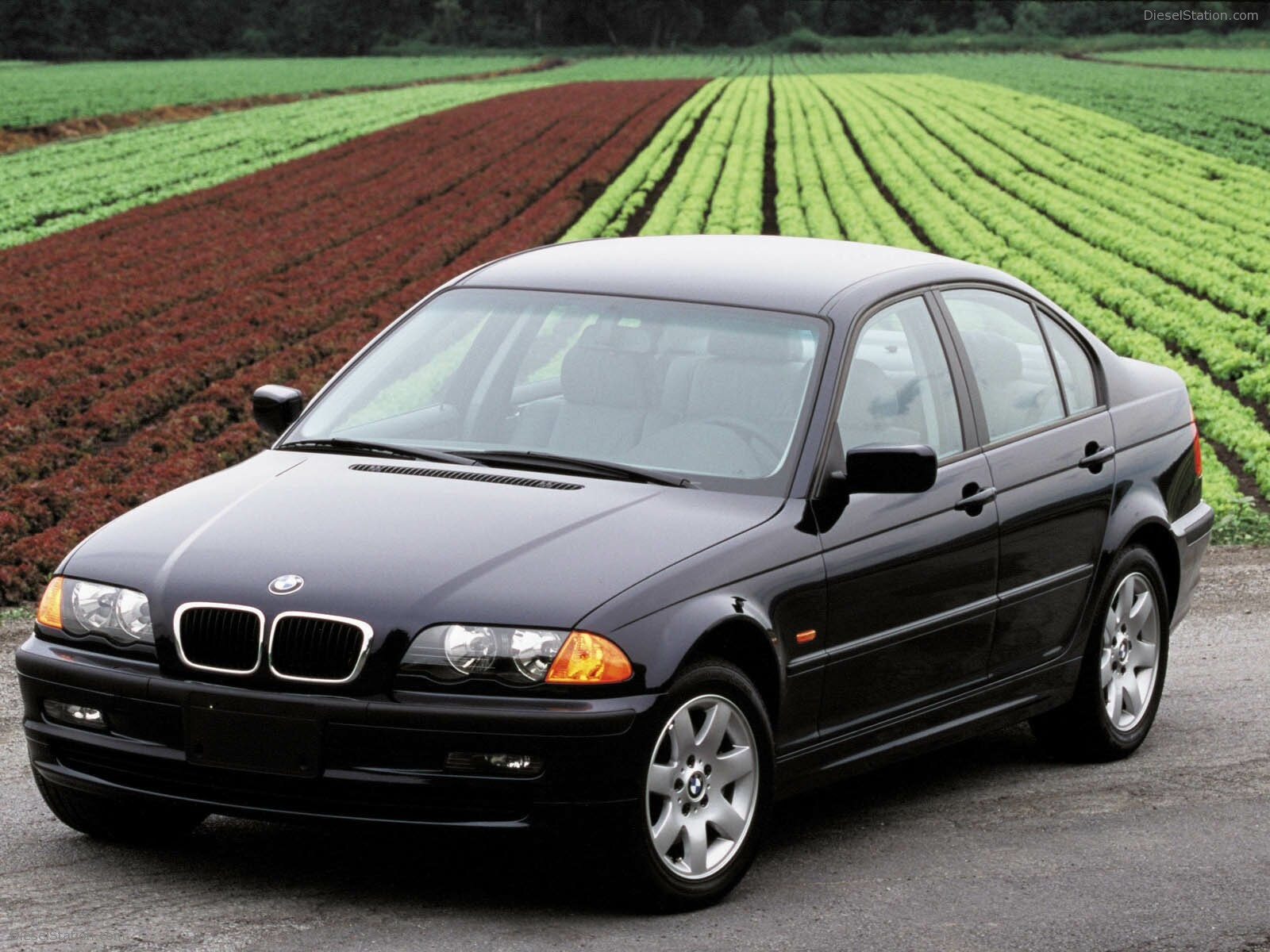 Bmw 3 Series 2000