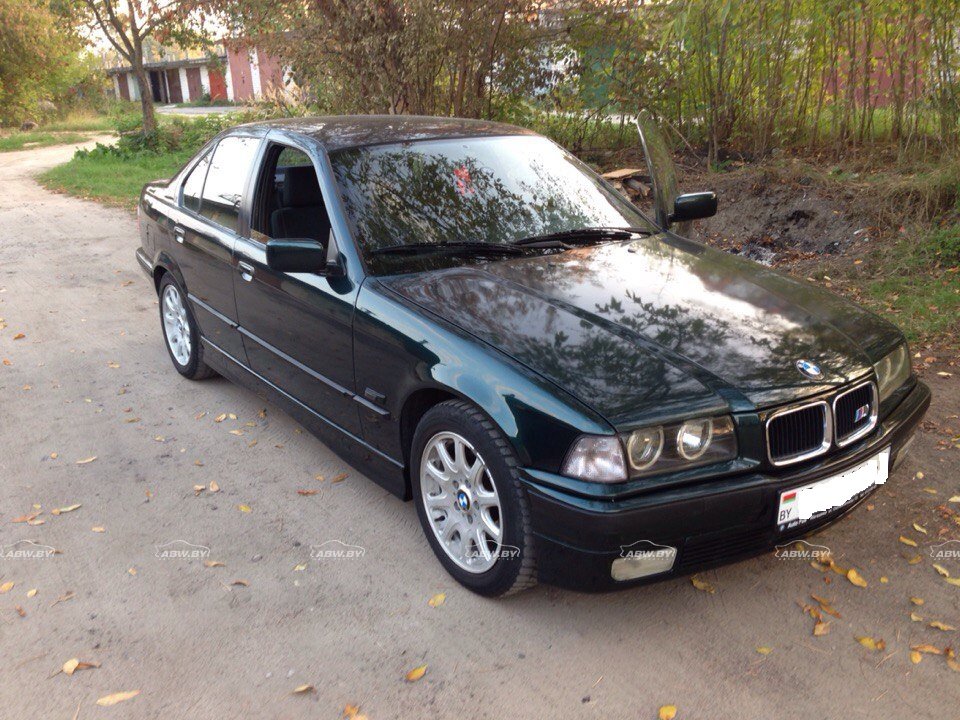 Bmw 318 1995
