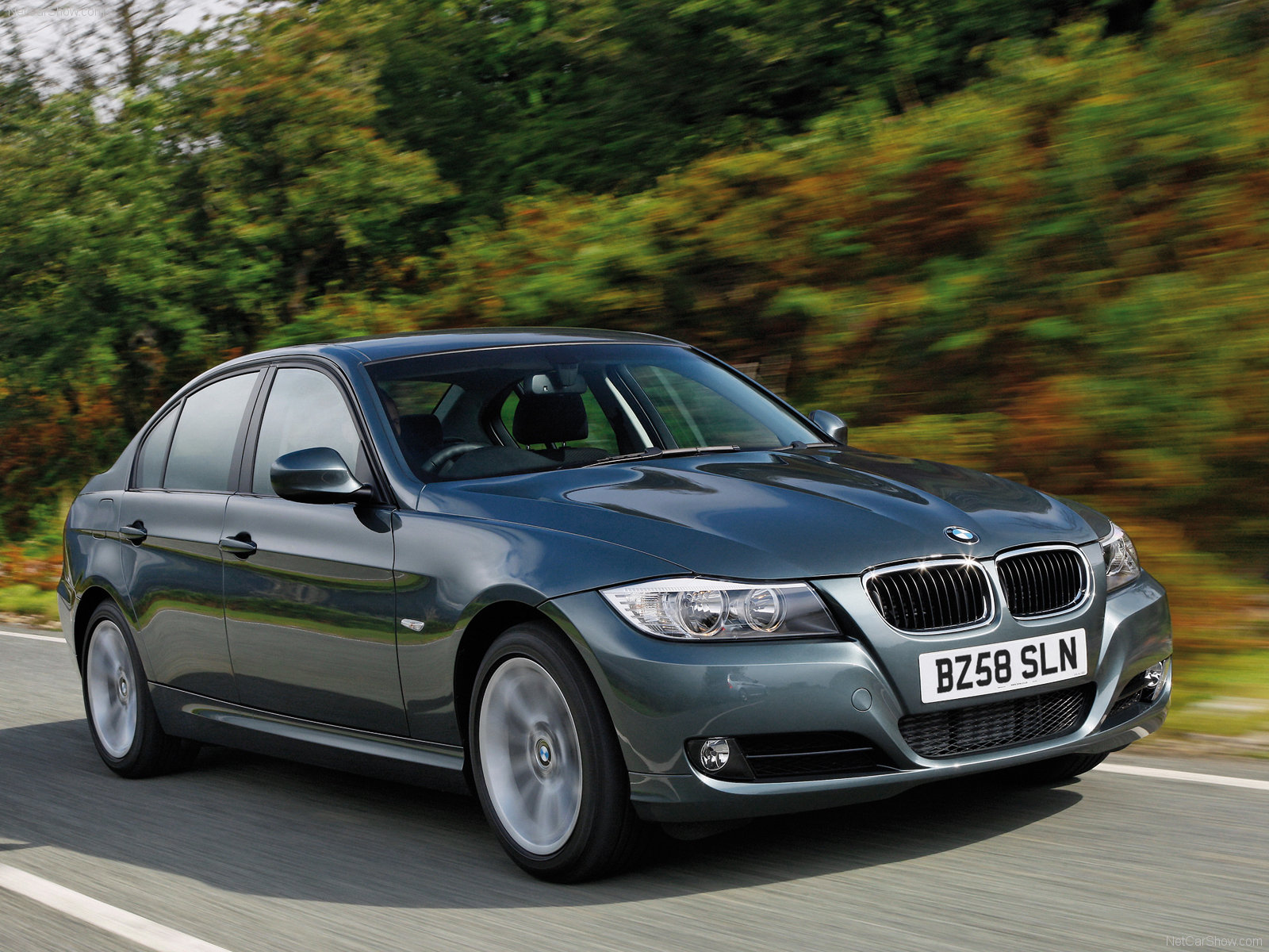 Bmw 318i 2009