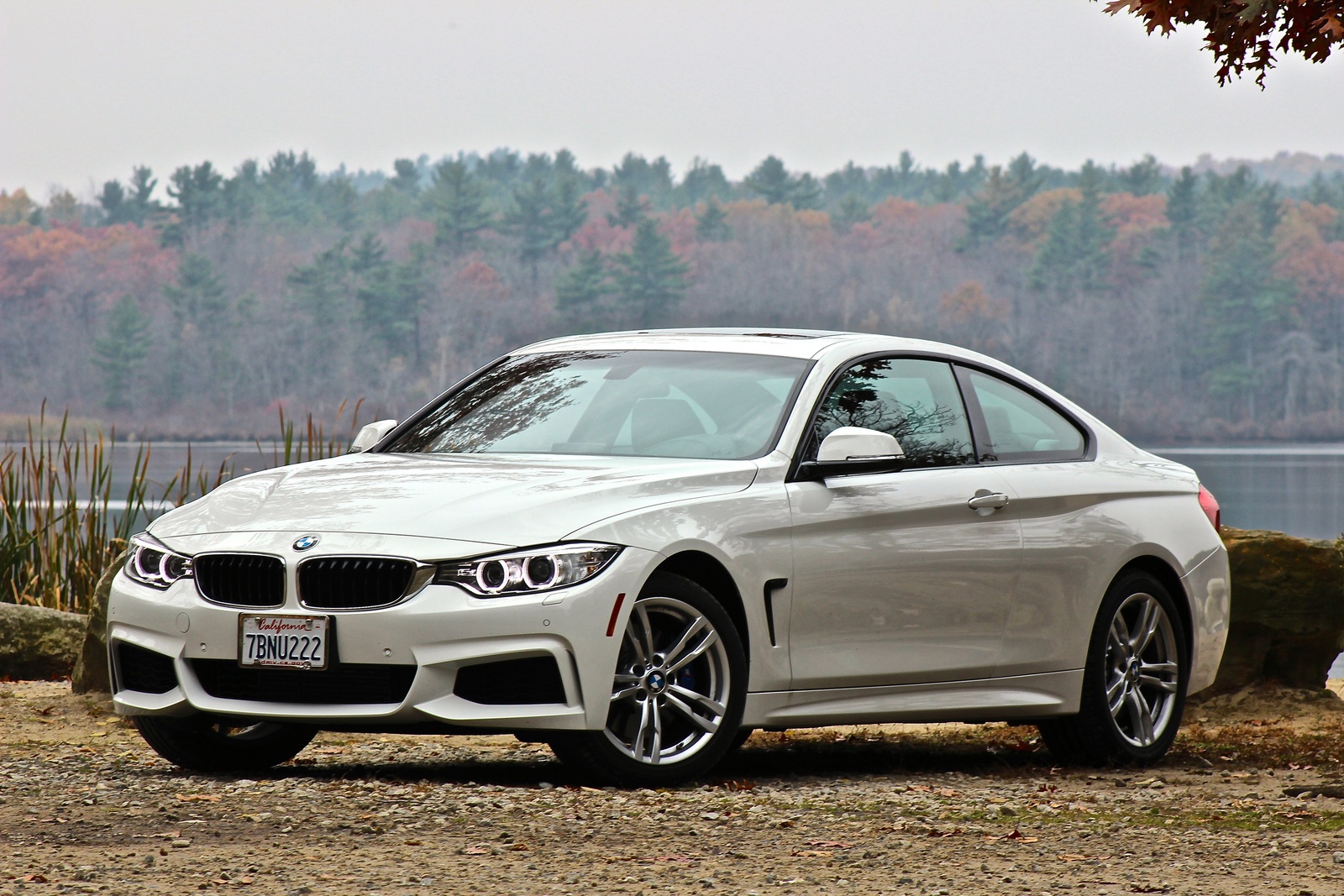 Bmw 4 Series 2014