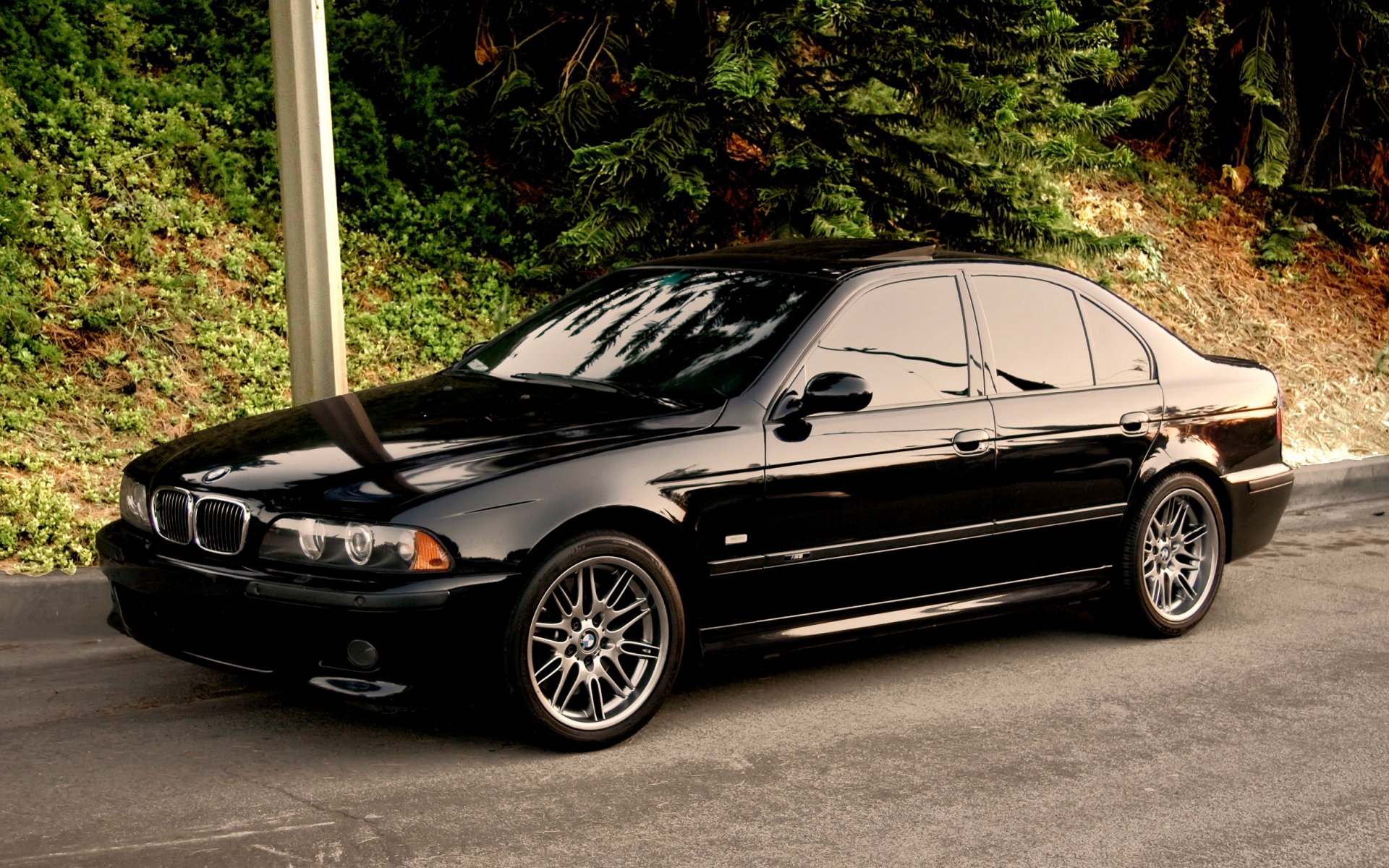 Bmw 5 Series E39