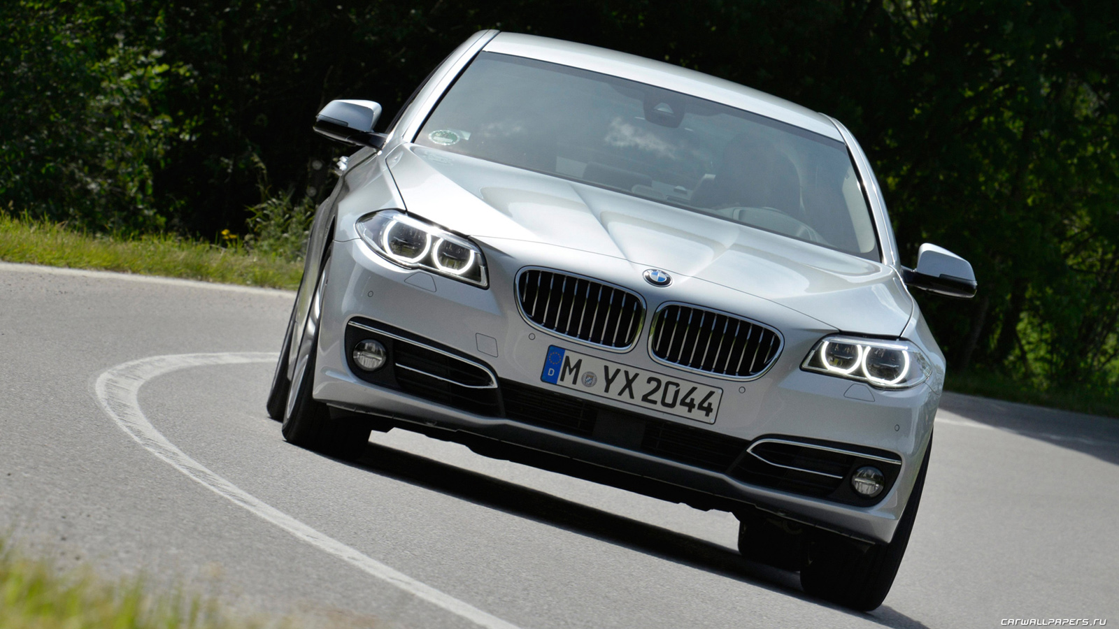 Bmw 5 Series Luxury Line