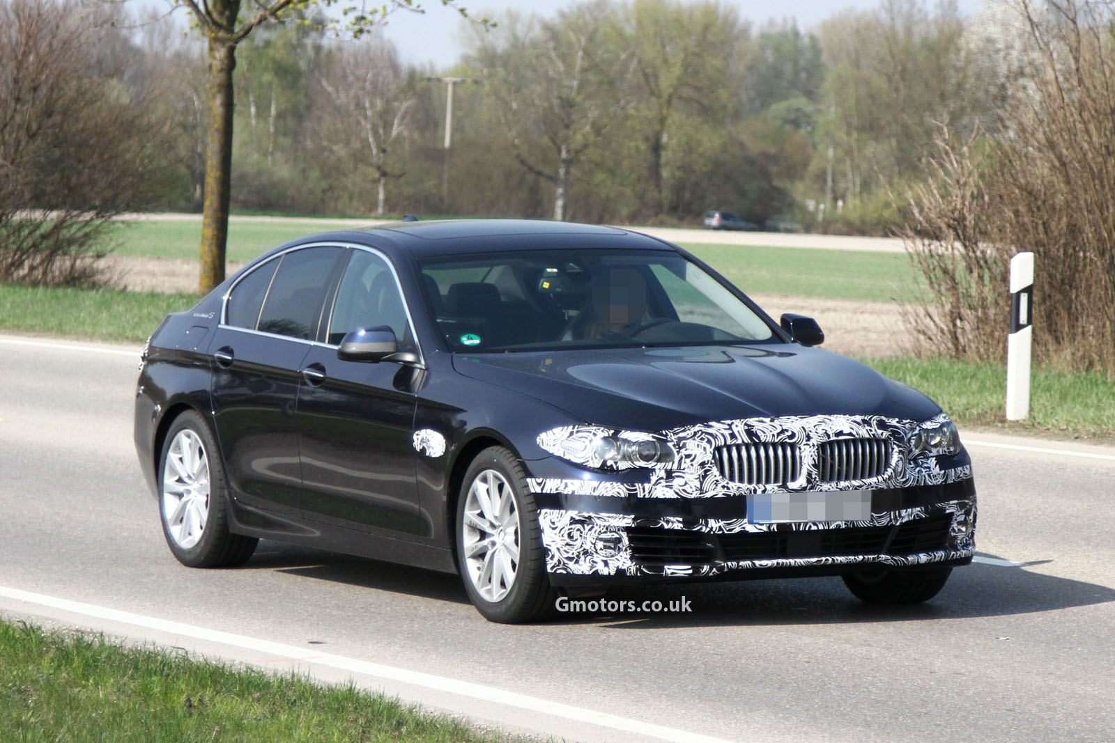 Bmw 5 Hybrid