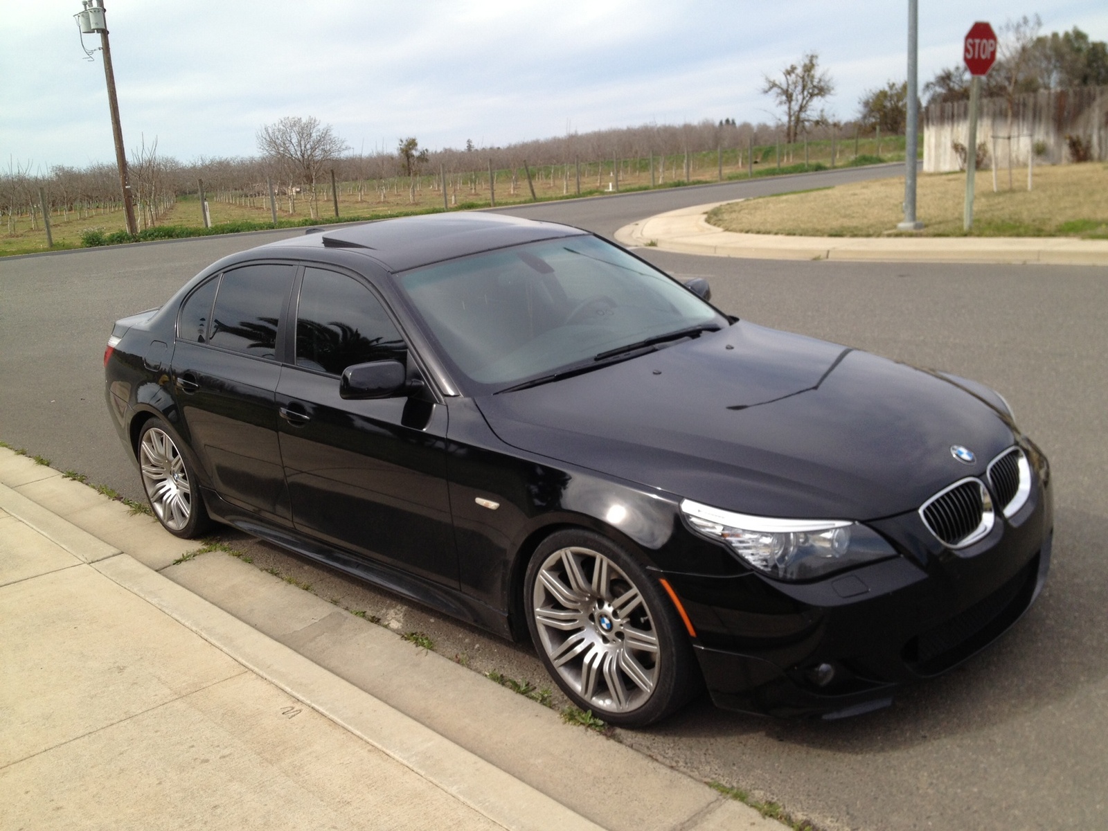 Bmw 528i 2008