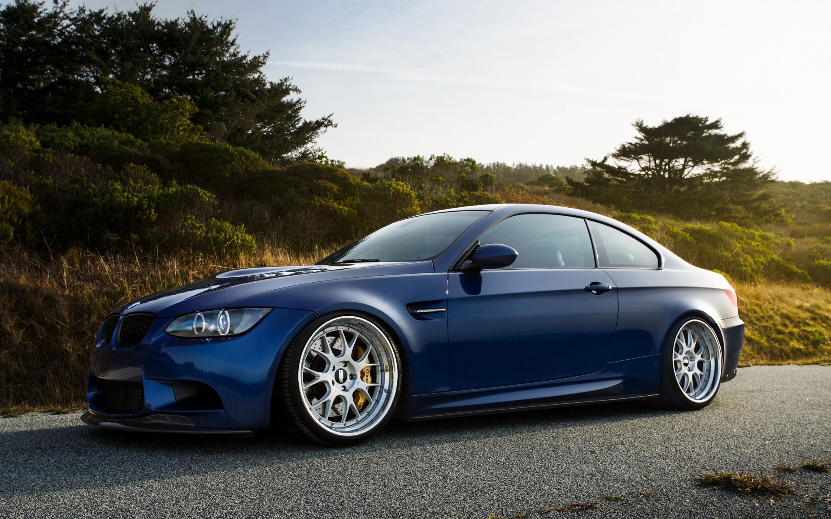 Bmw M Blue