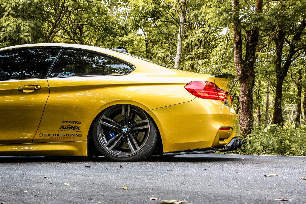 Bmw M4 Armytrix