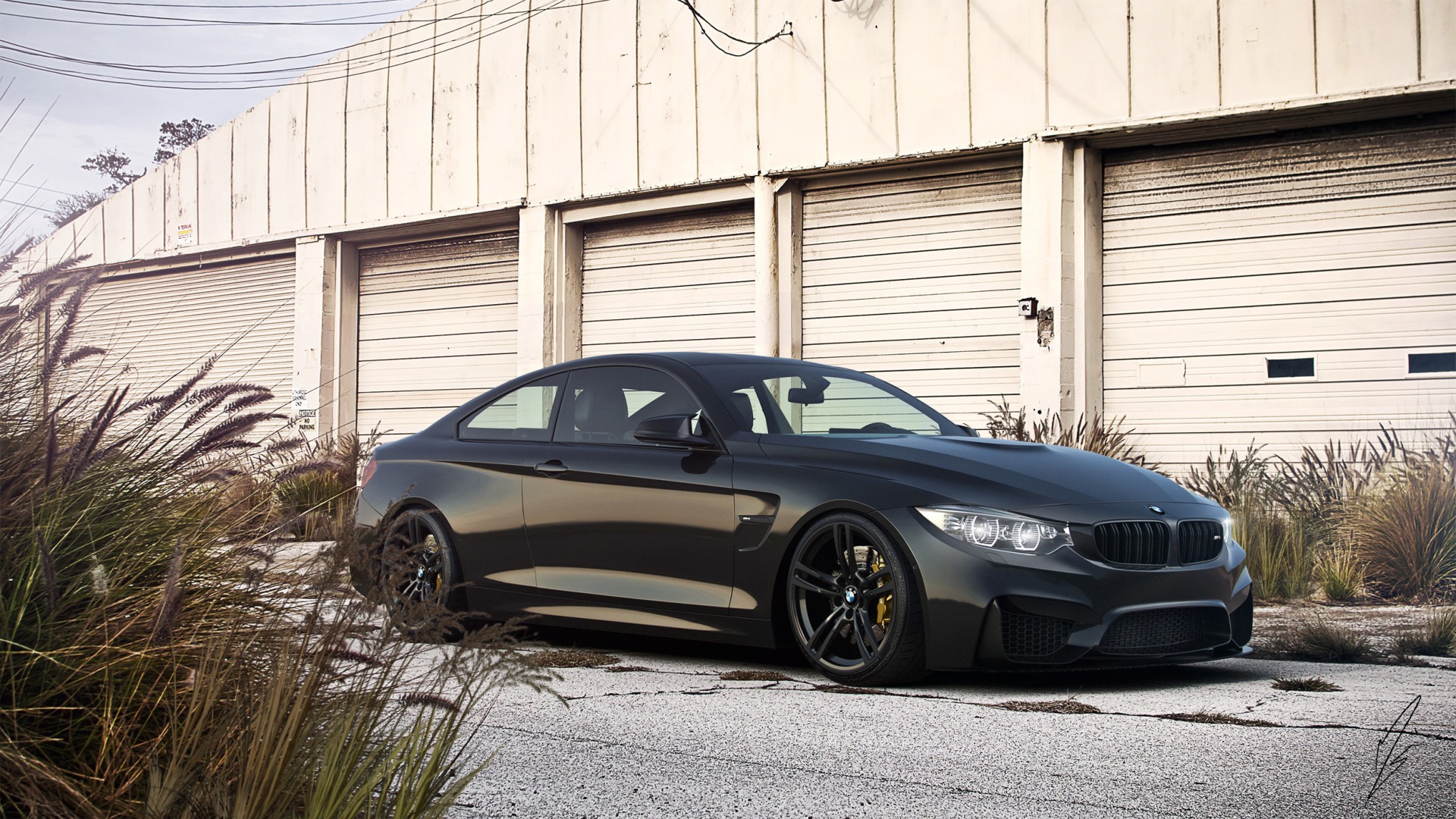 Bmw M4 Black