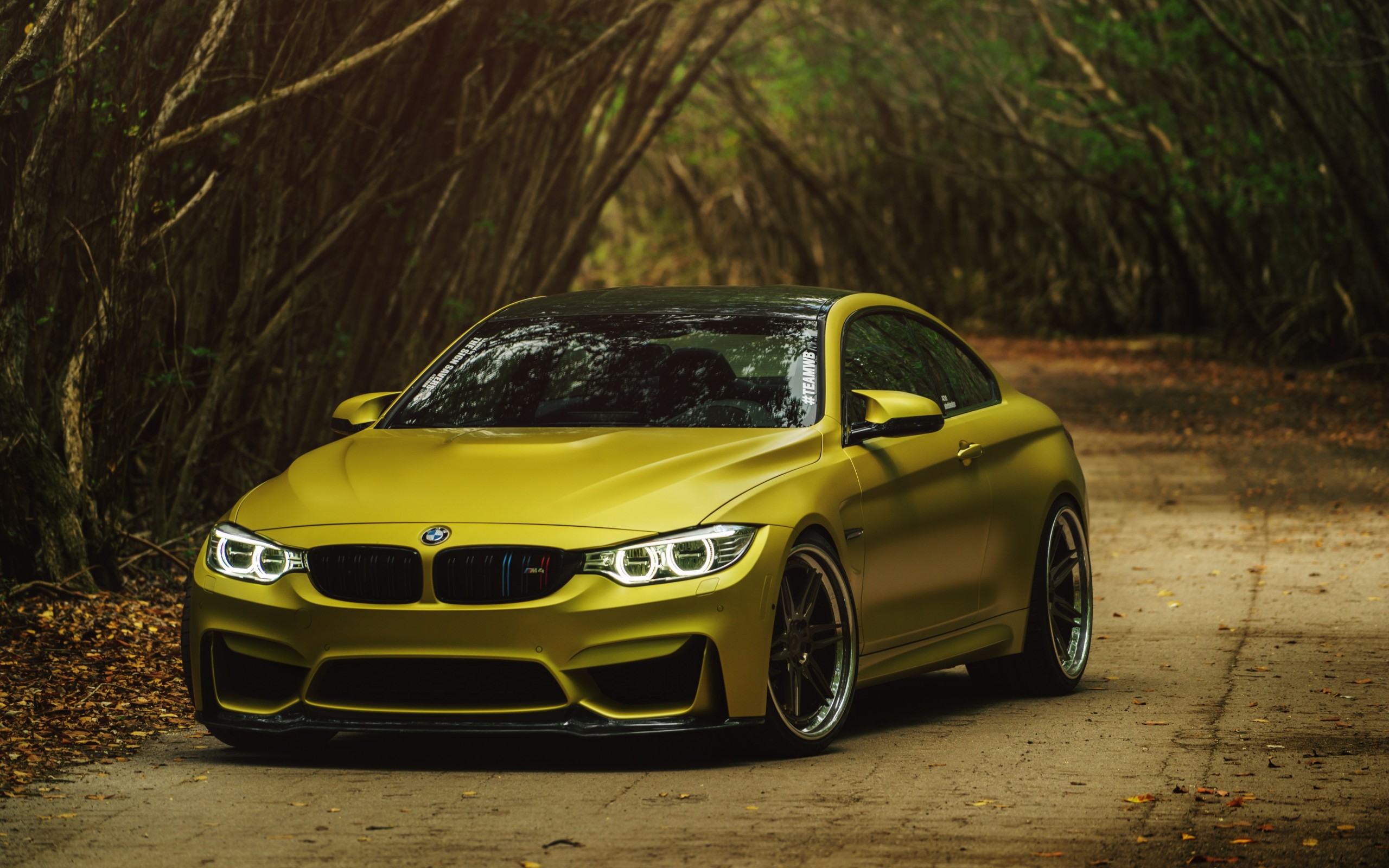 Bmw M4 Yellow