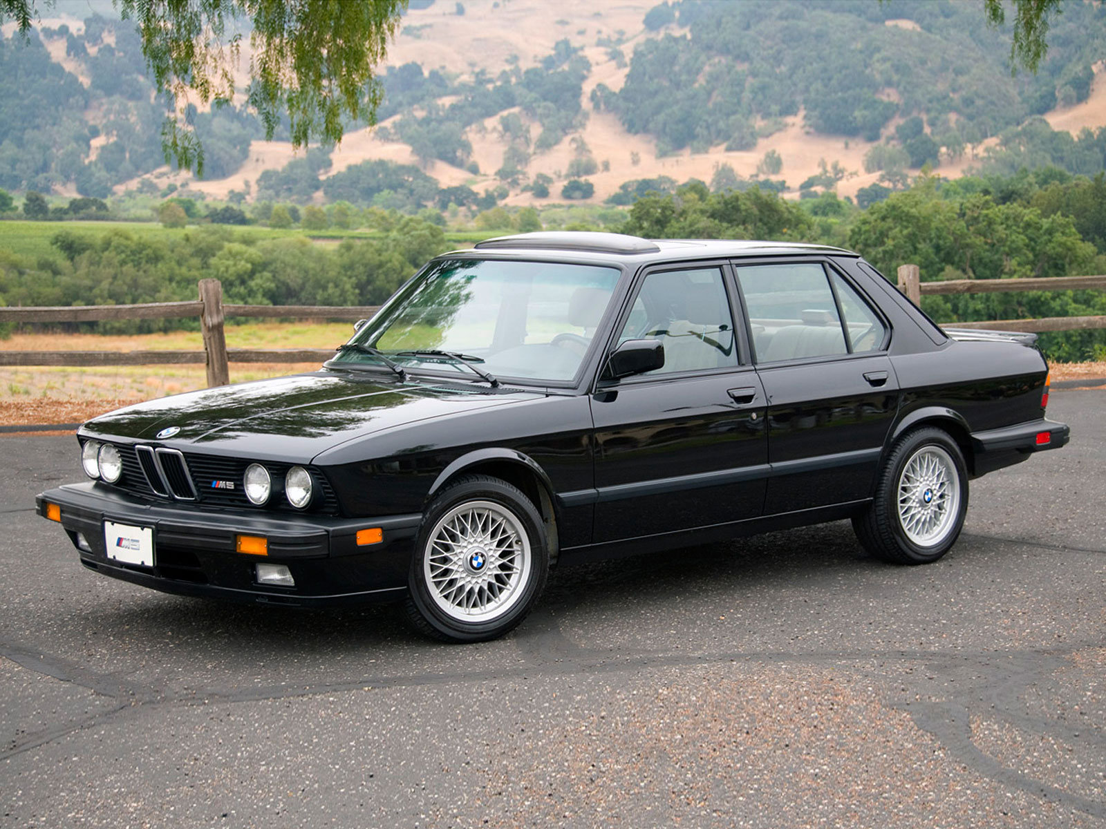 Bmw M5 1988