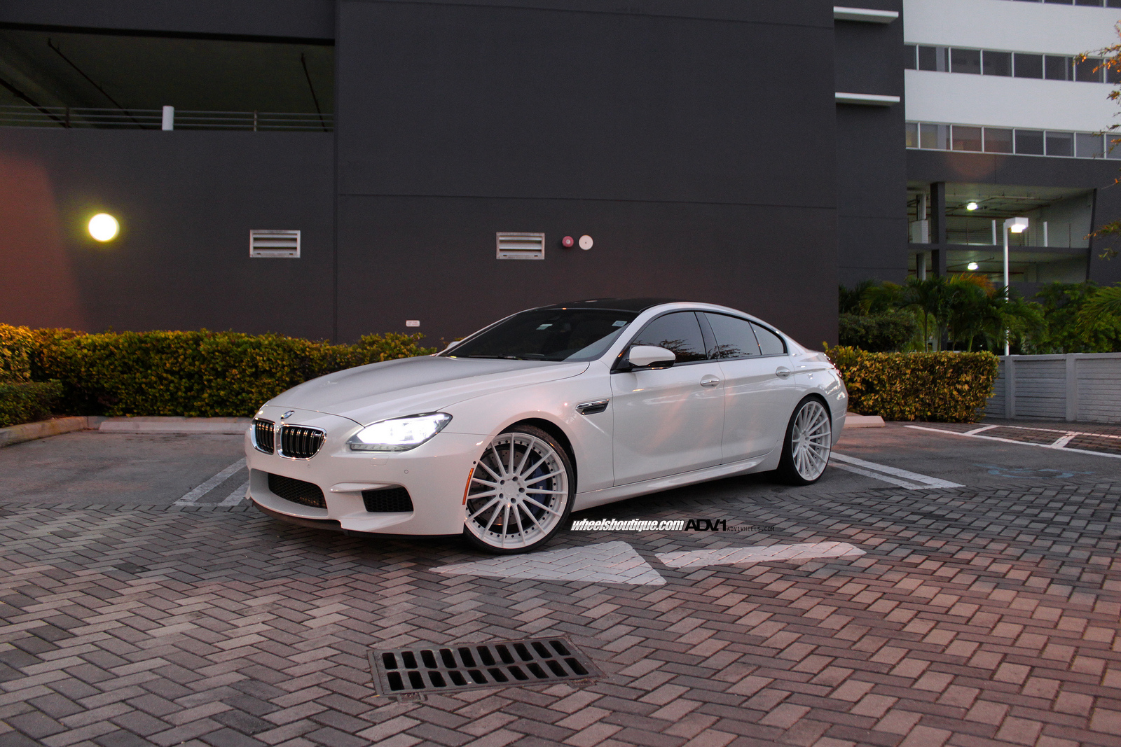 Bmw M6 White