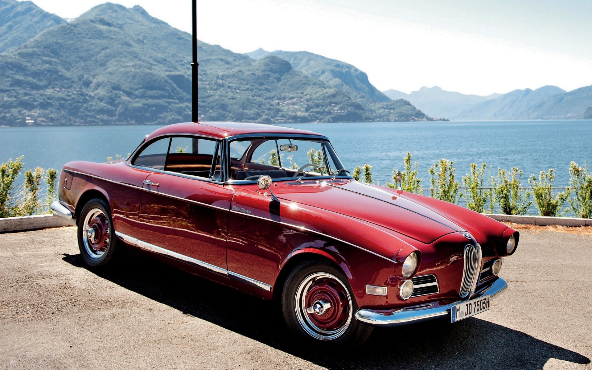 Bmw 503