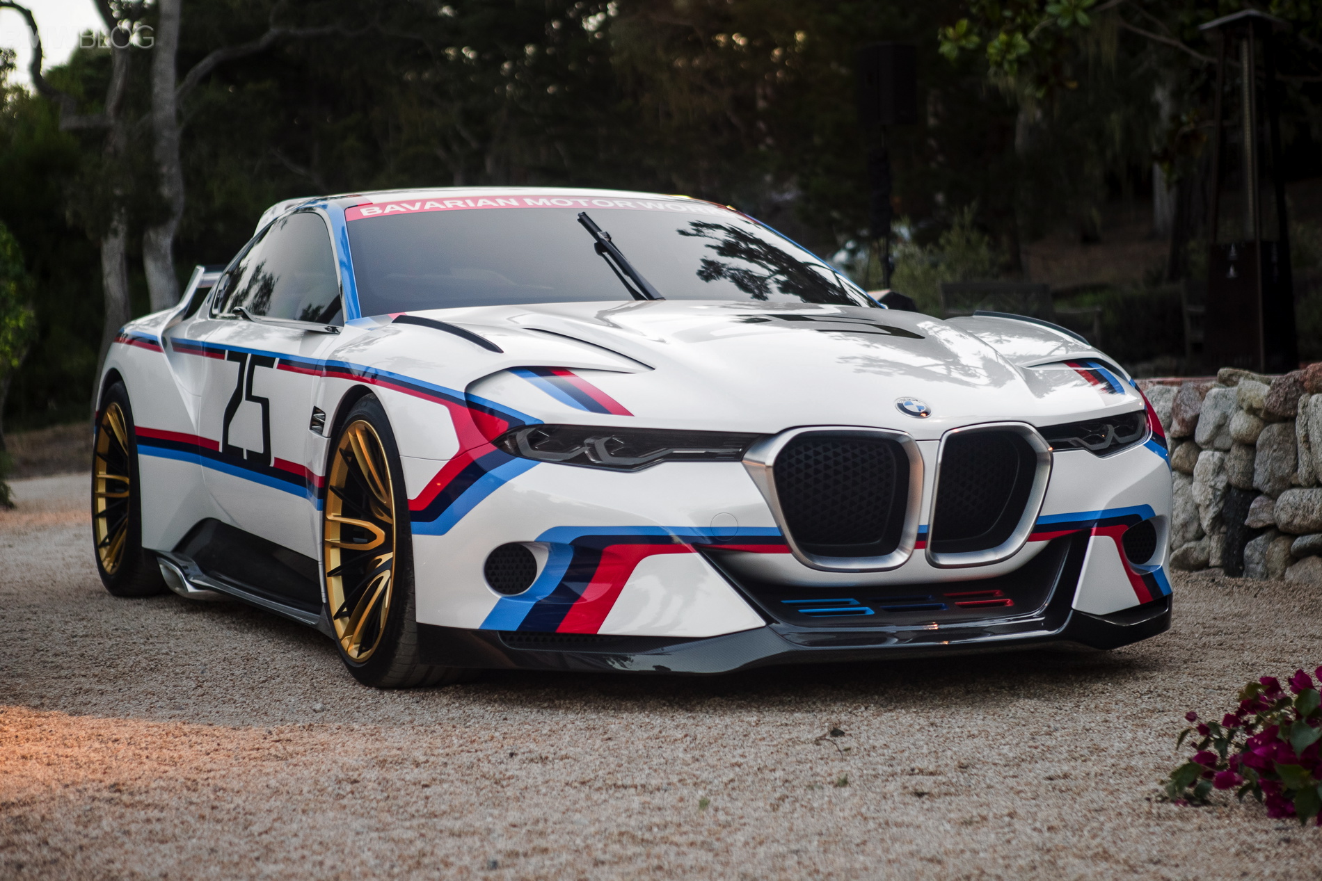 Bmw Csl