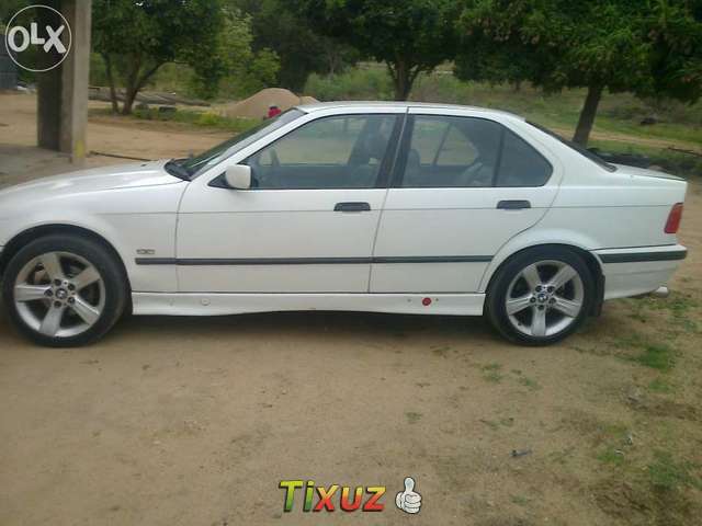 Bmw Dolphin