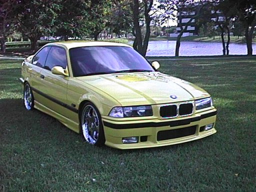 Bmw Dolphin
