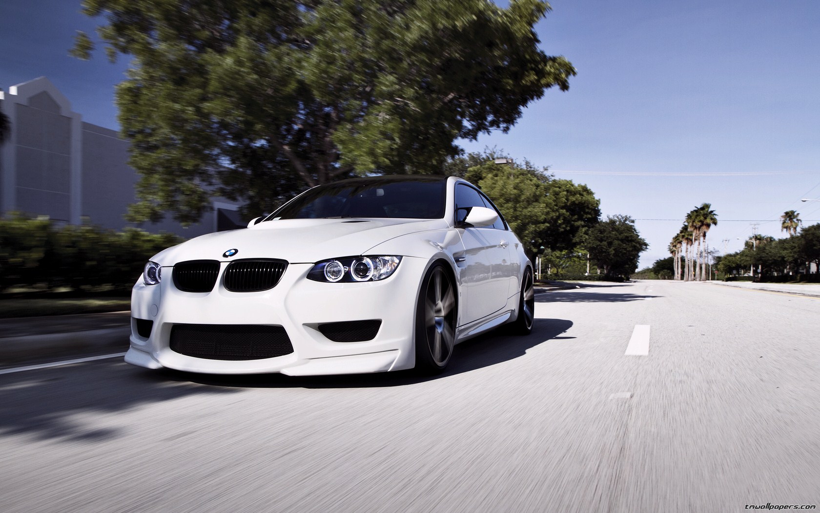 Bmw White