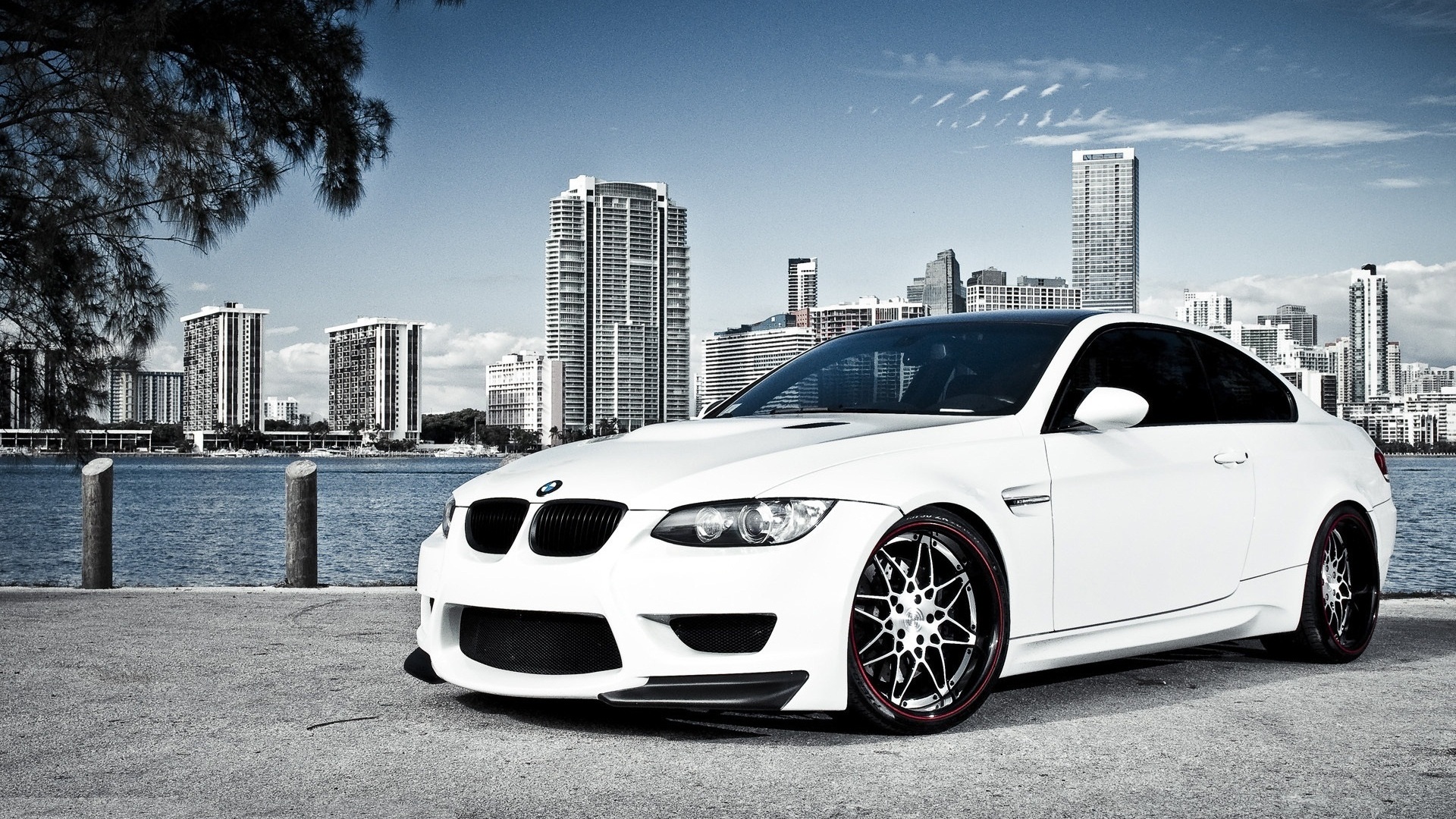 Bmw White