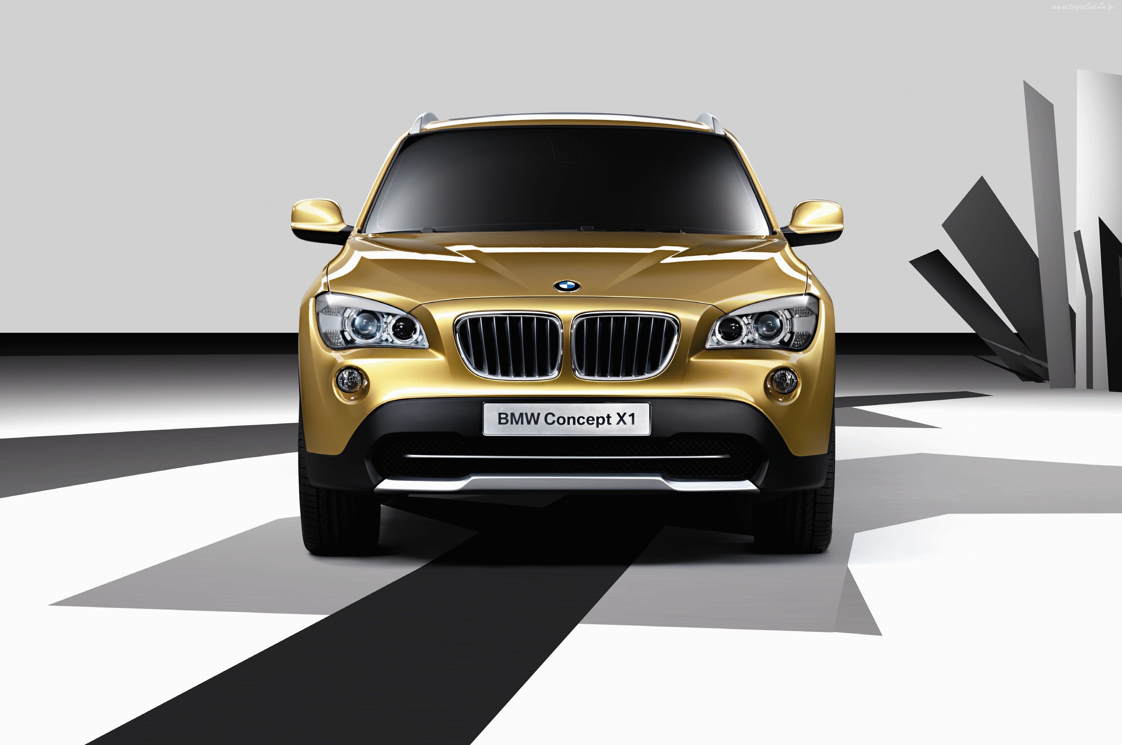 Bmw X1 Gold