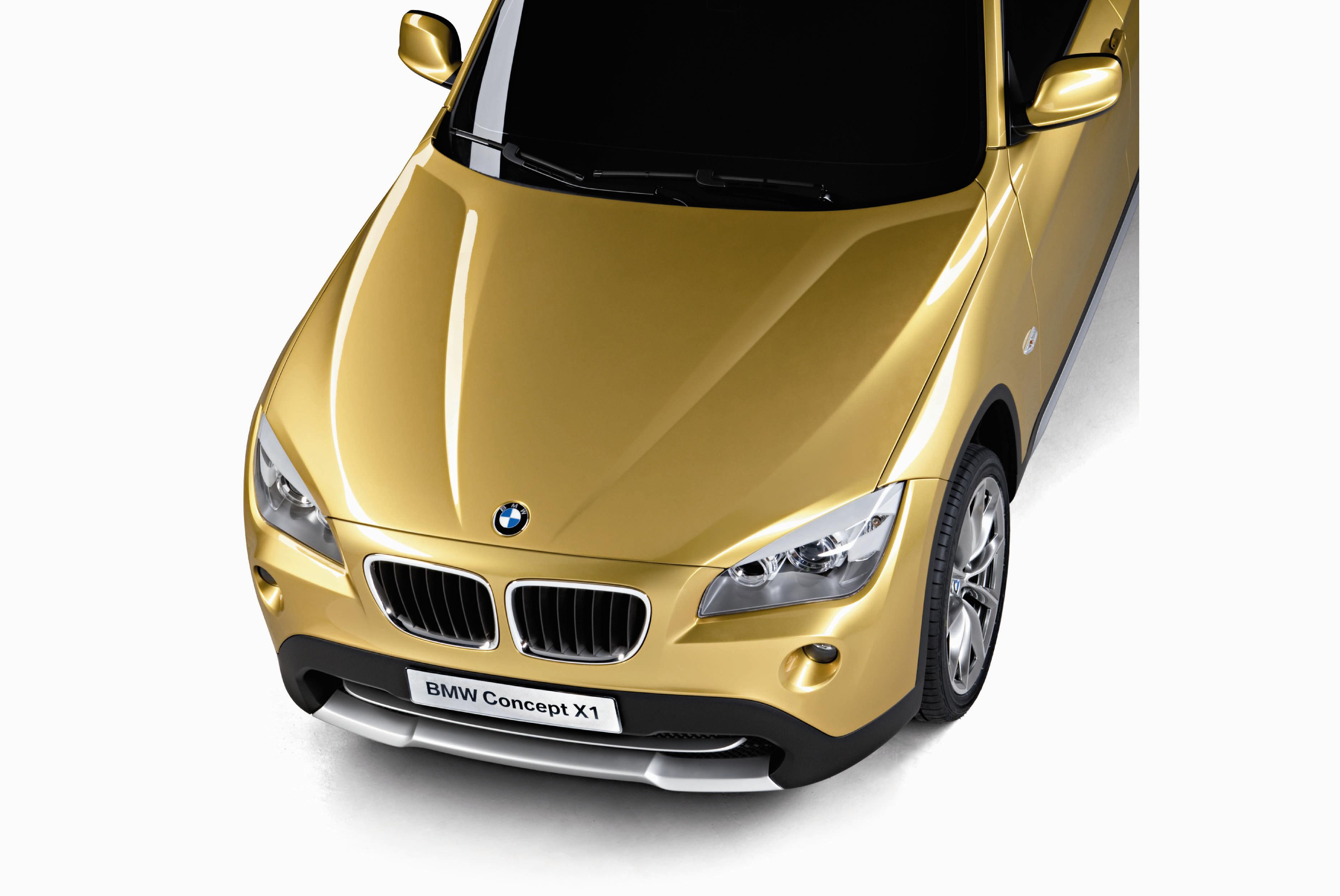 Bmw X1 Gold