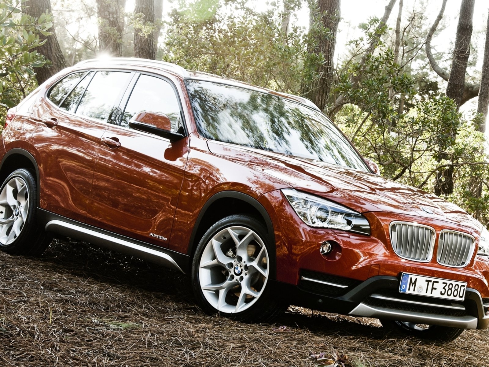 Bmw X1 Orange