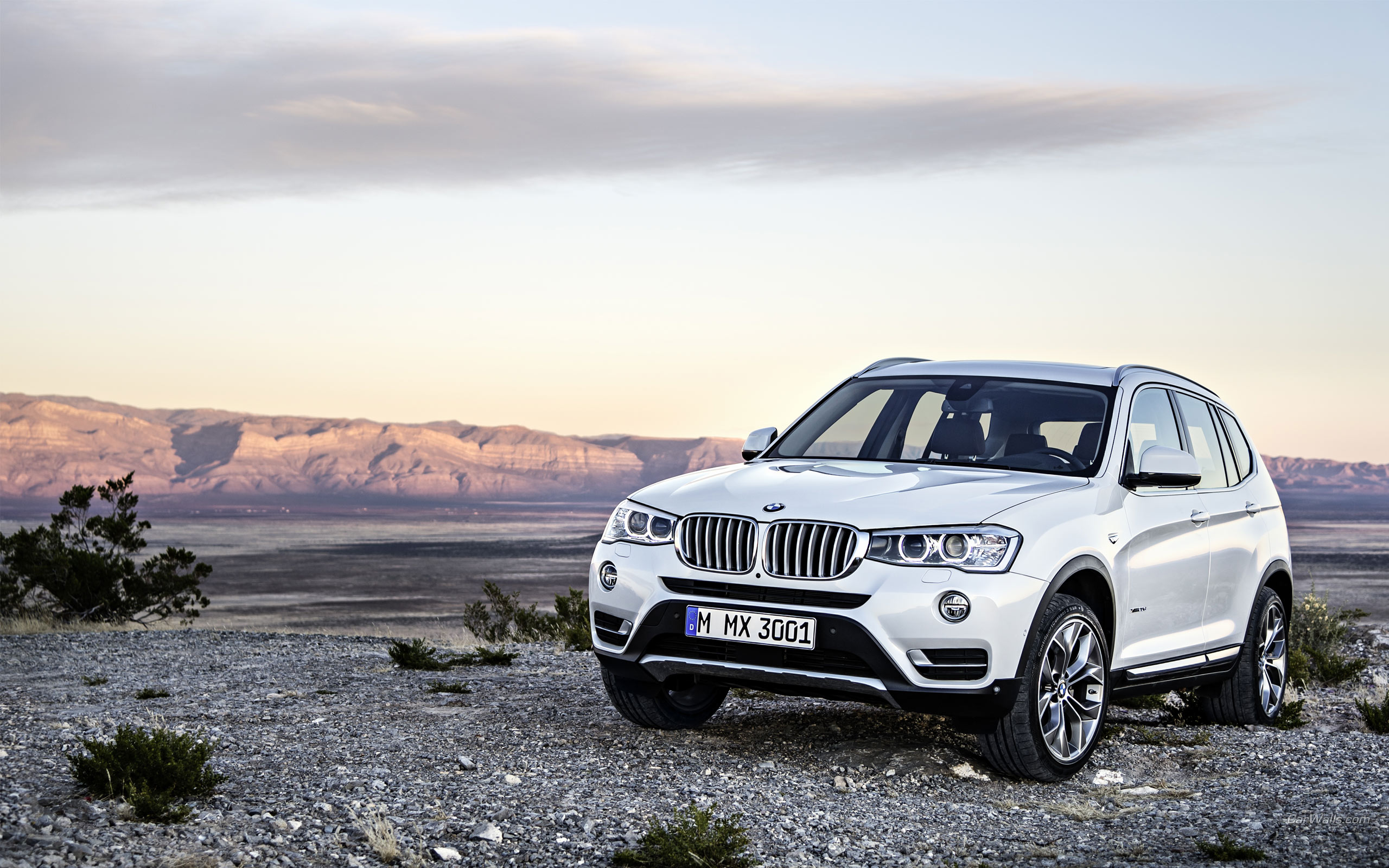 Bmw X3 2015