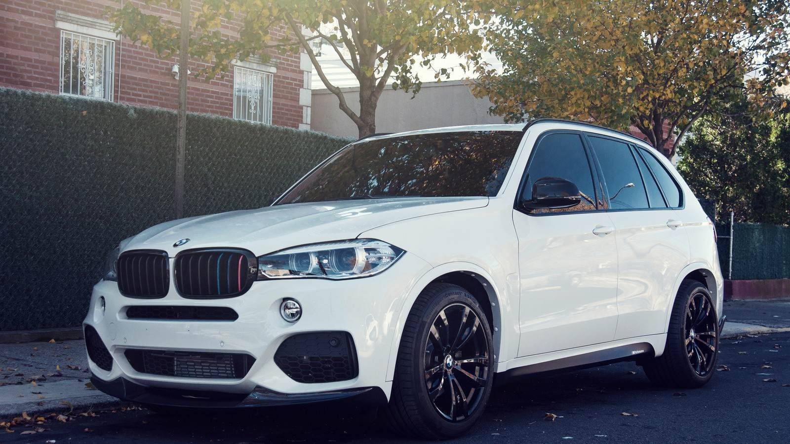 Bmw X5 Alpine White