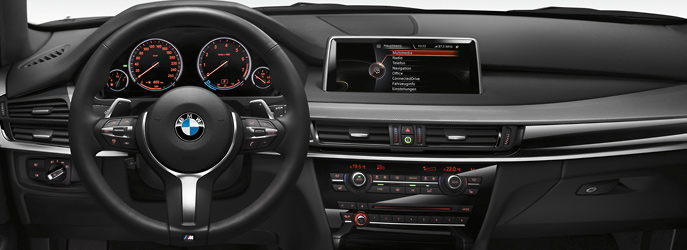 Bmw X5 M Series