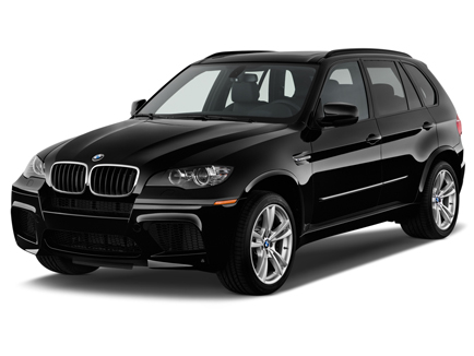 Bmw X5 Xdrive30d M Sport