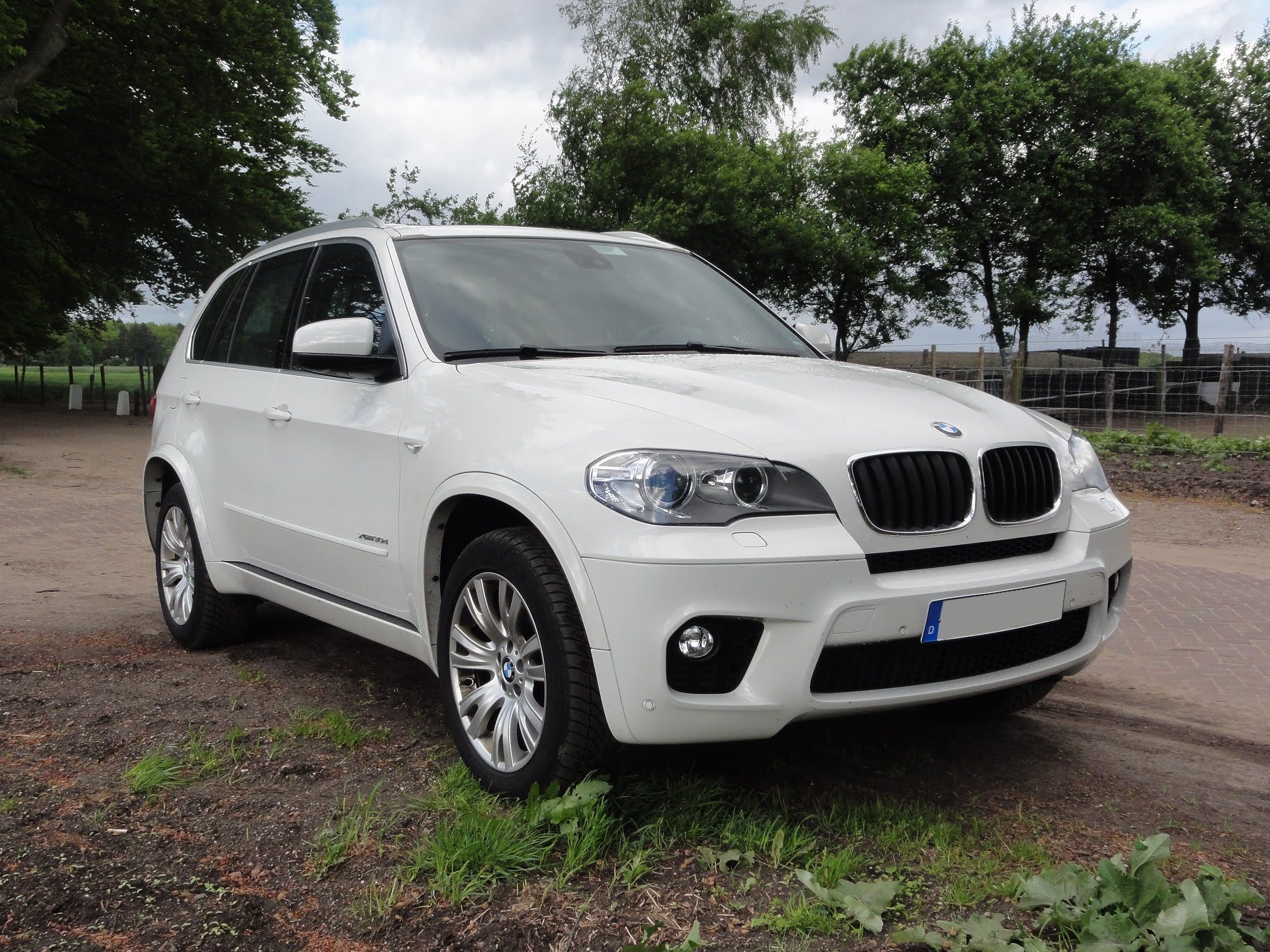 Bmw X5 Xdrive30d