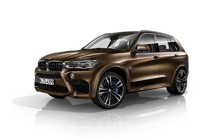 Bmw X5 Xdrive35i Premium