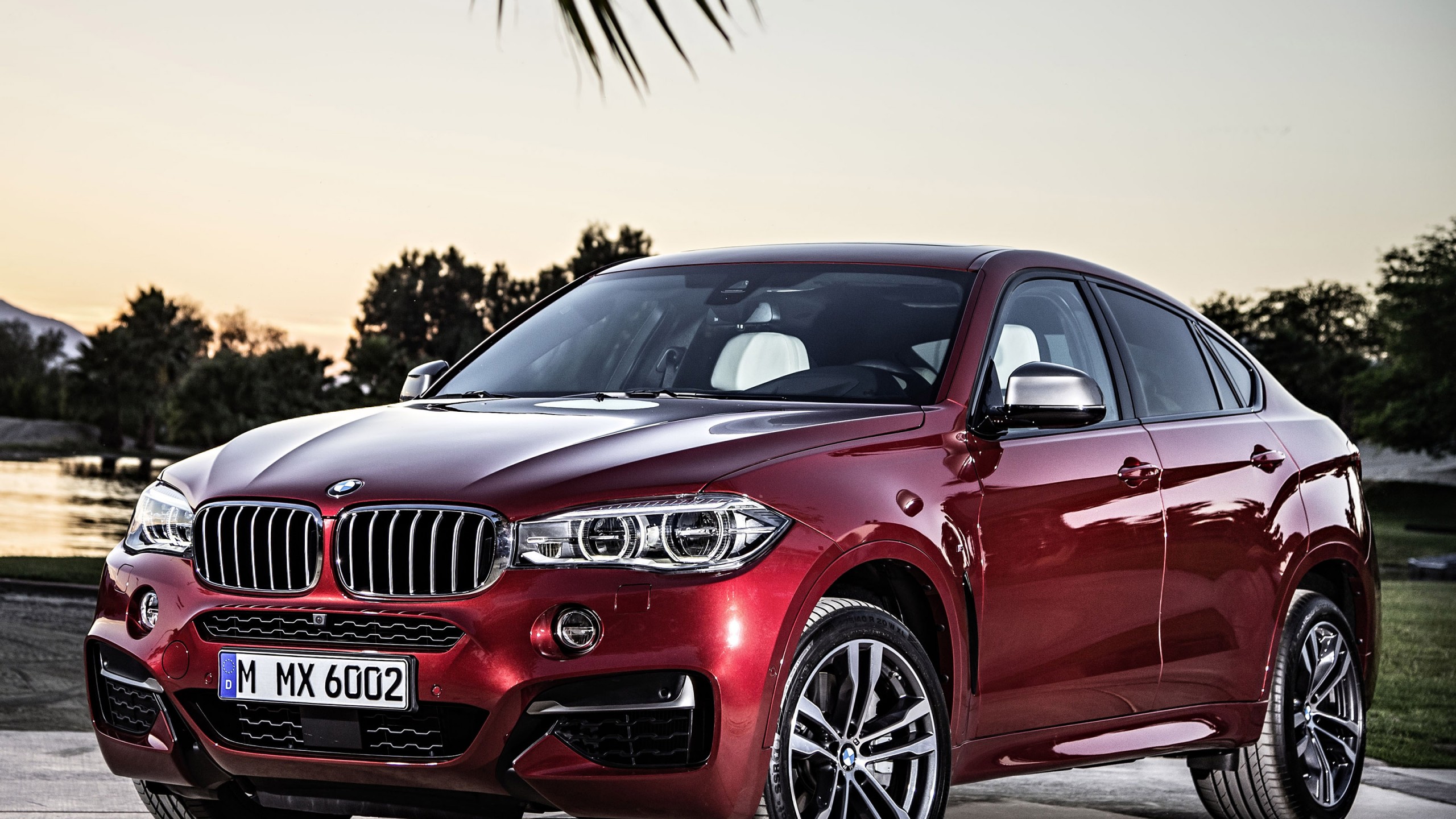 Bmw X6 2015