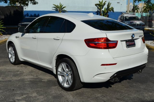 Bmw X6 Alpine White