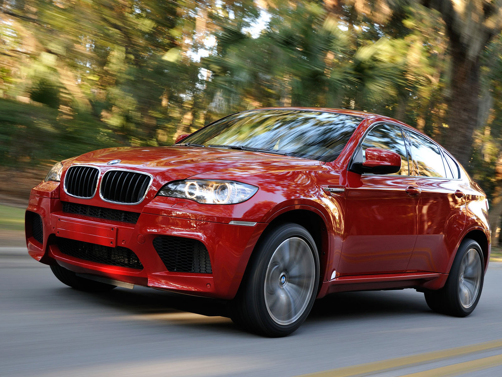 Bmw X6 Car