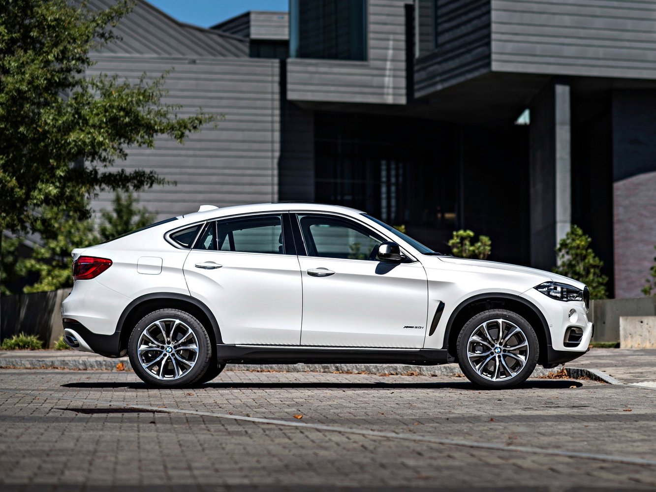 Bmw X6 Crossover