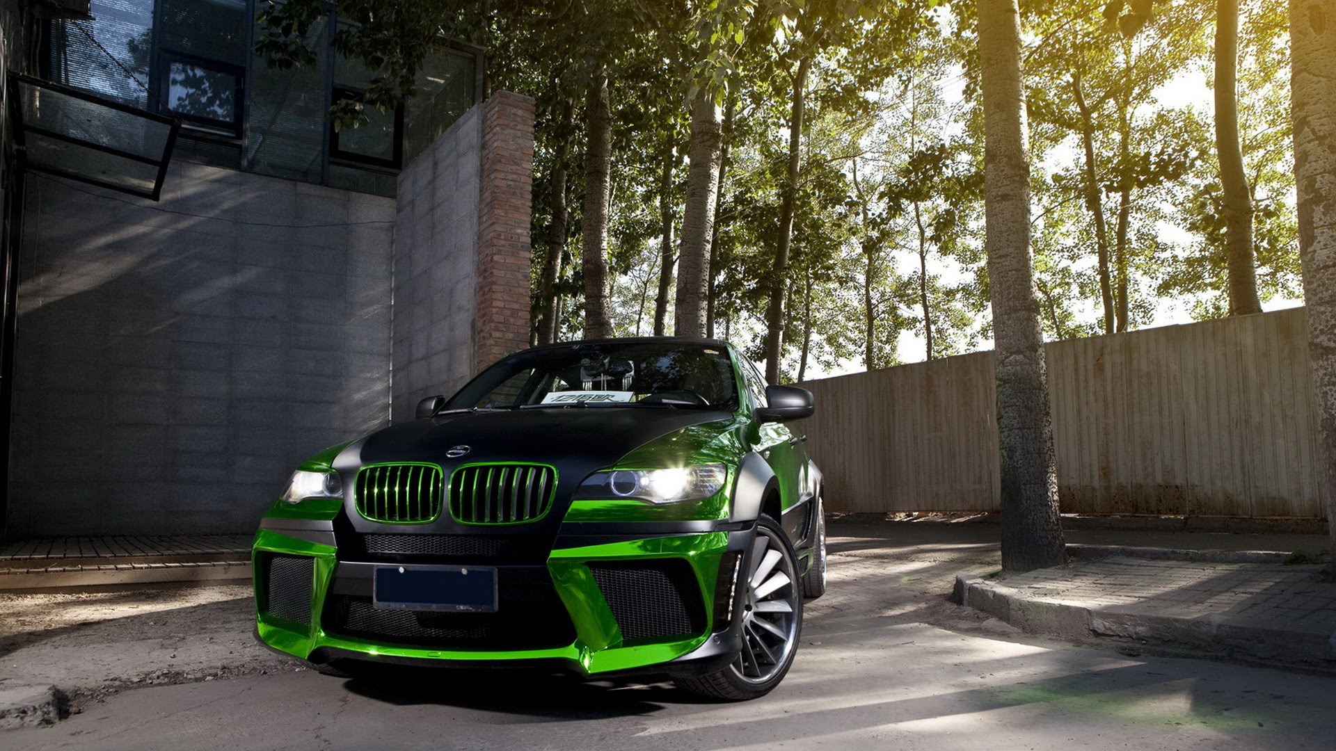 Bmw X6 Green