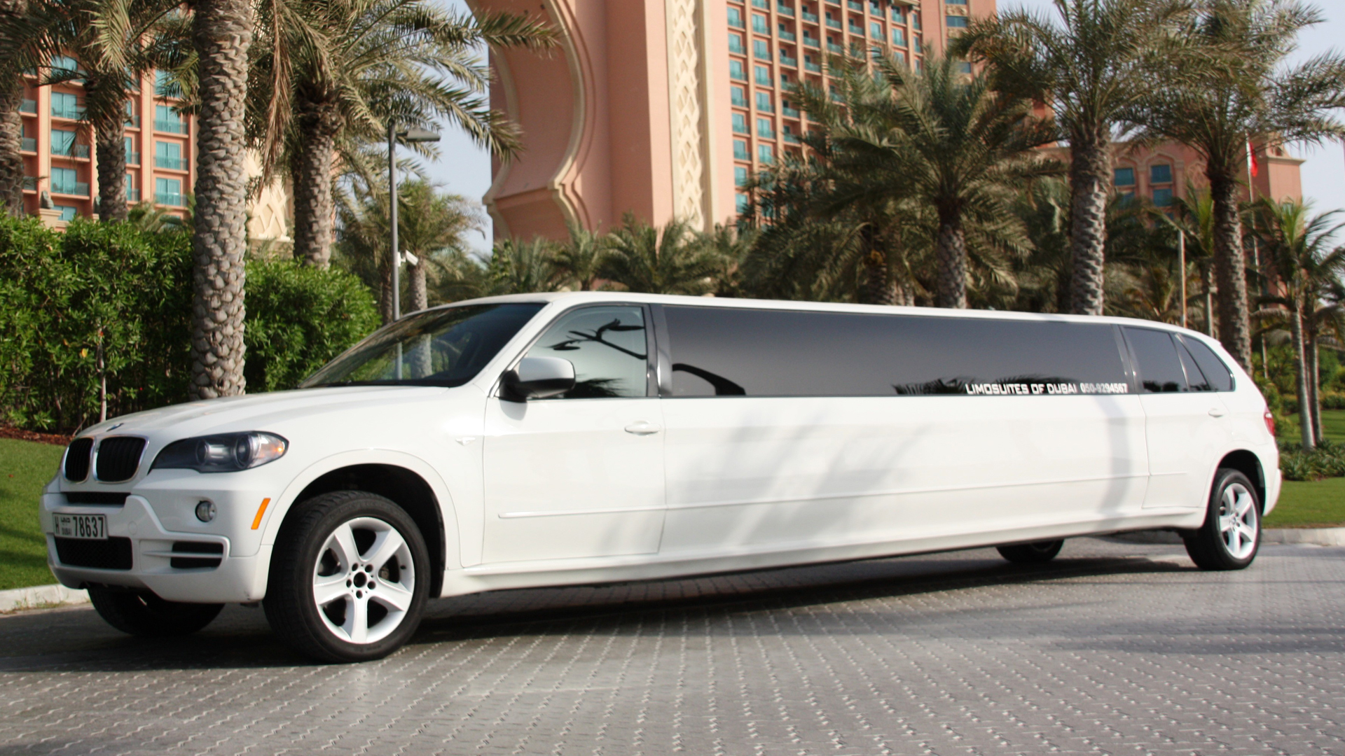 Bmw X6 Limo