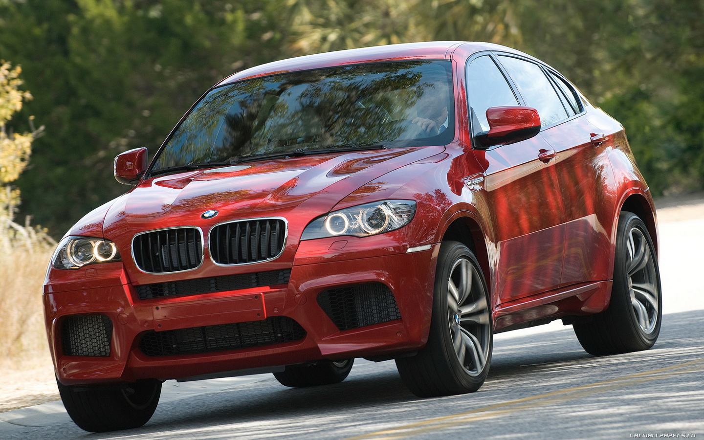 Bmw X6 V12