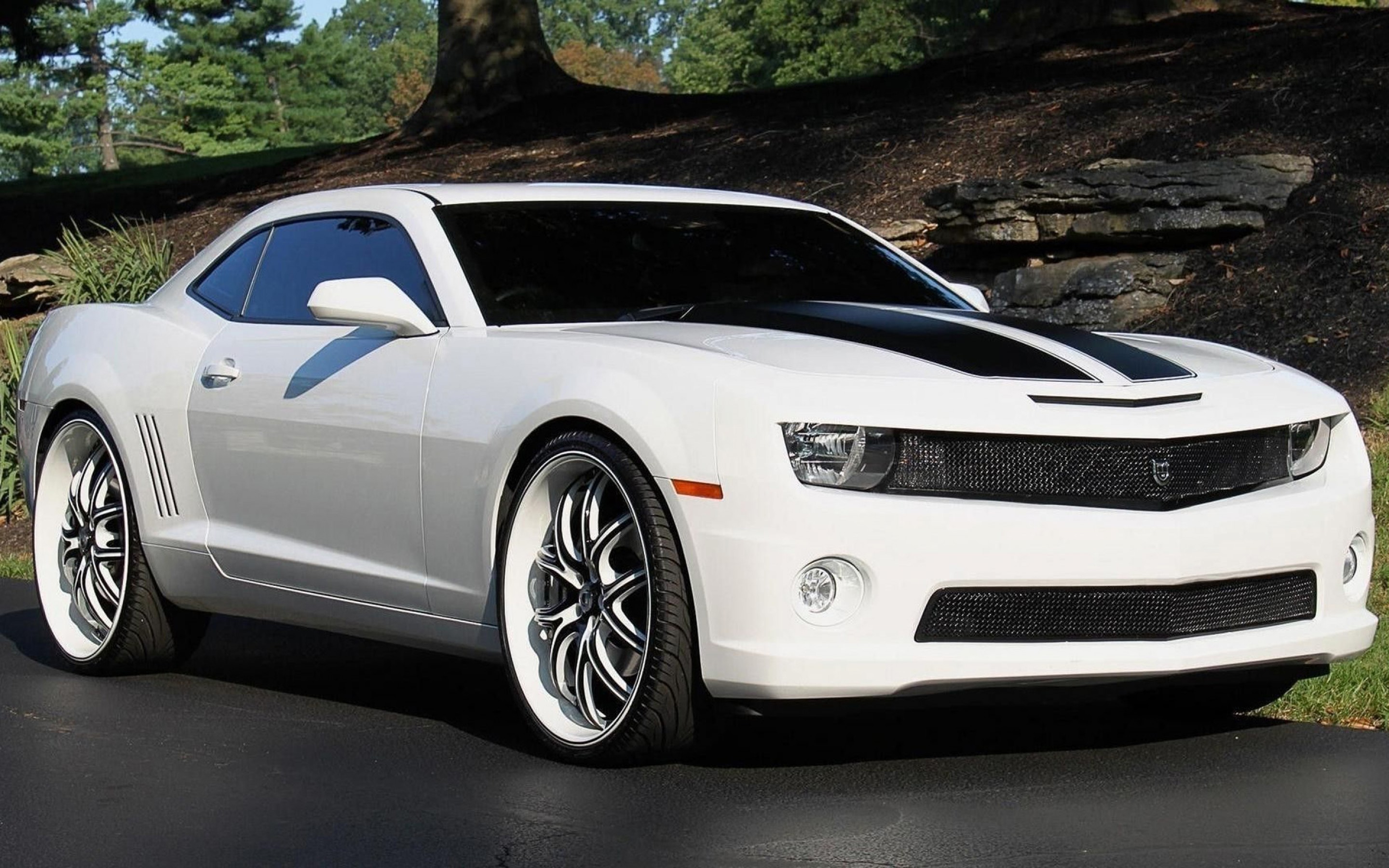 Chevrolet Camaro White