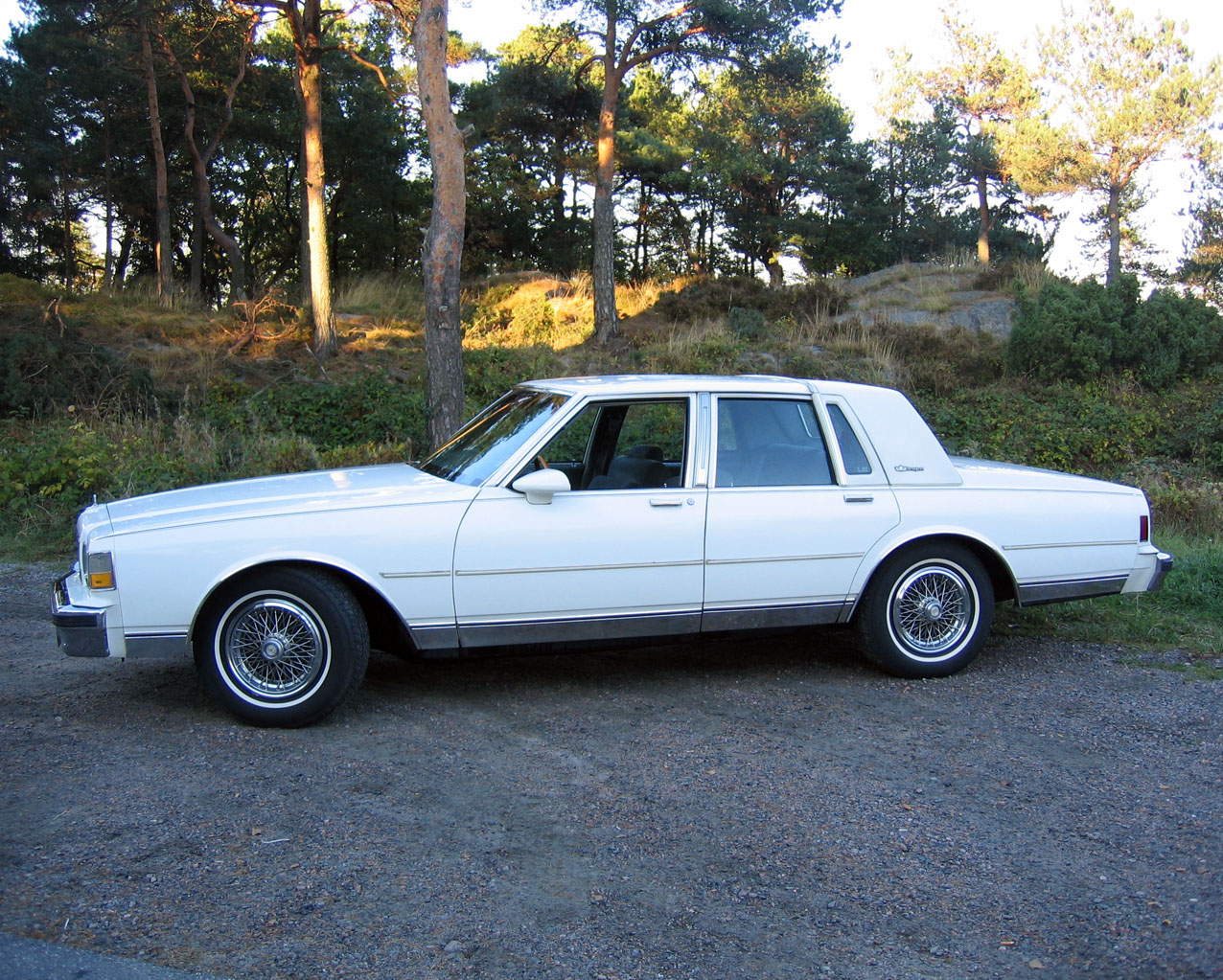 Chevrolet Caprice Classic 1989