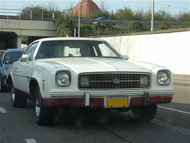 1973 Chevrolet Chevelle Station Wagon