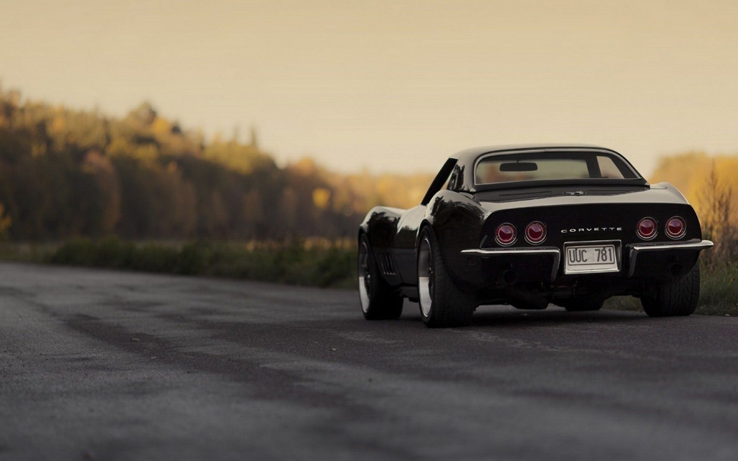 Chevrolet Corvette Stingray Black