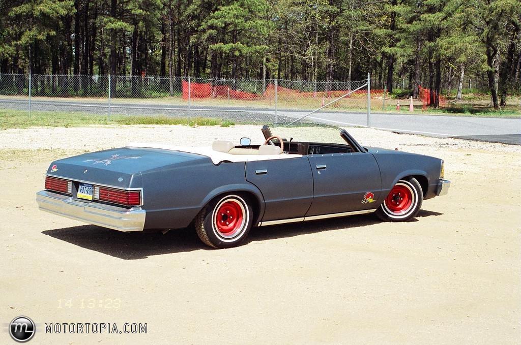 Chevrolet Malibu 1981 Chevrolet Malibu 1981