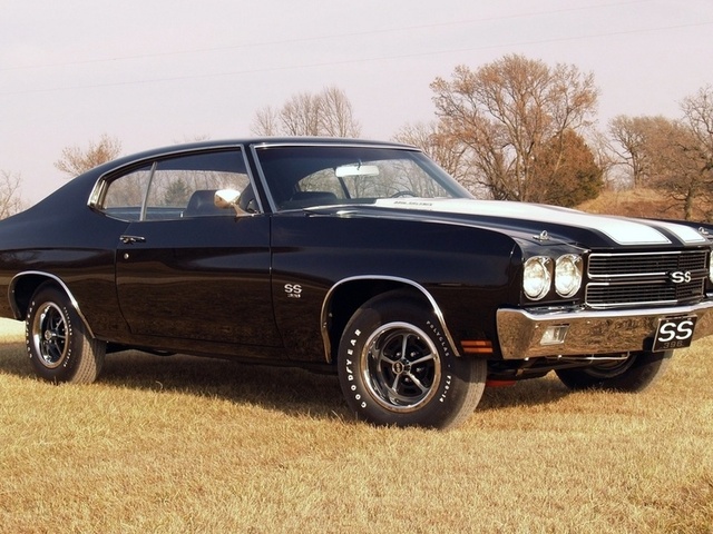 Chevrolet Ss 396