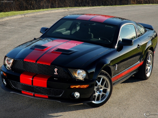 Ford 500 Gt Shelby