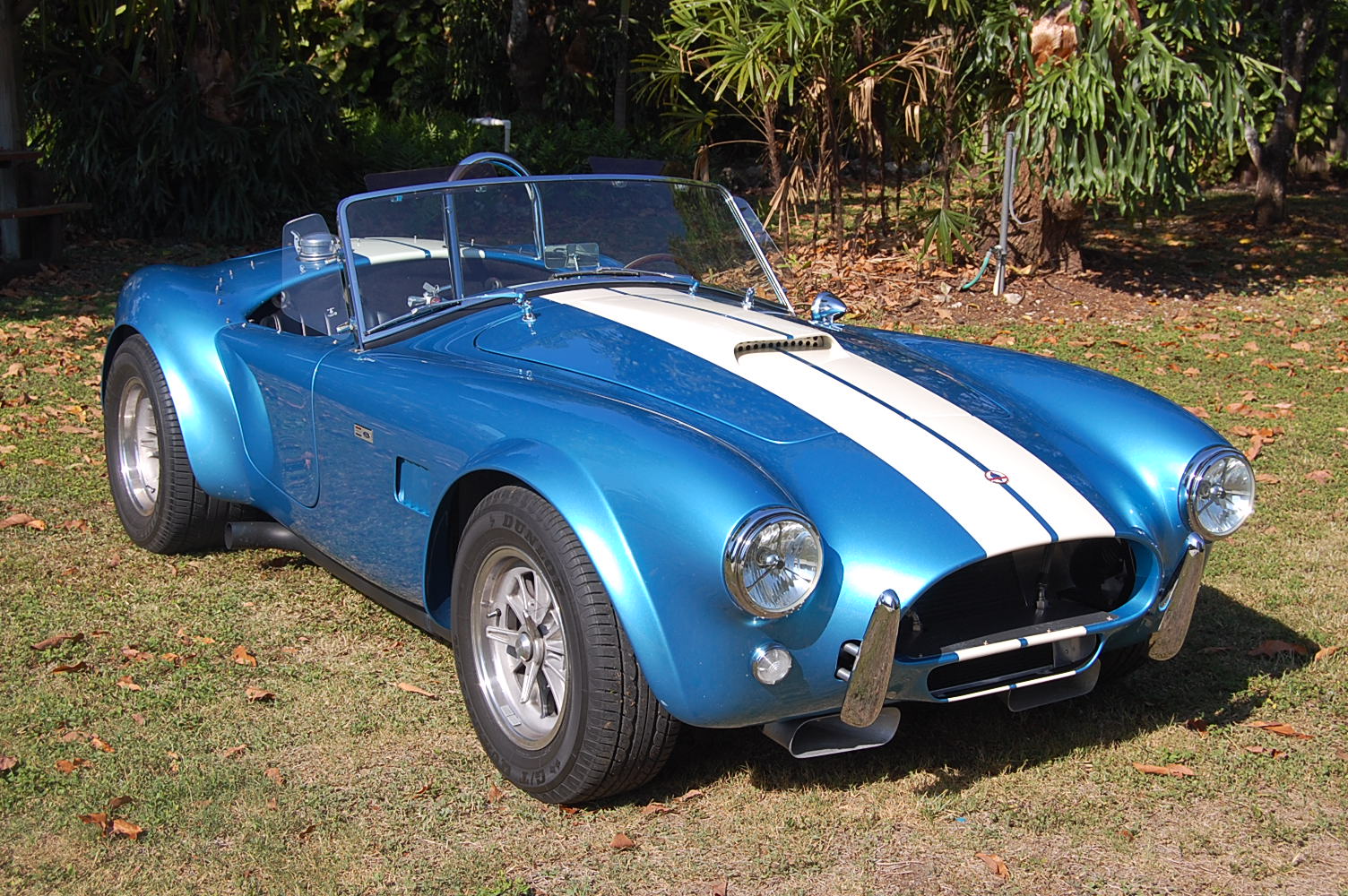 Ford Cobra 1965