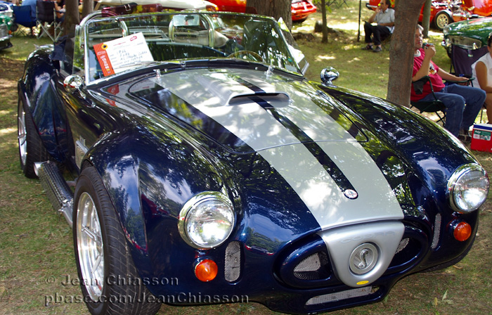 Ford Cobra 1966